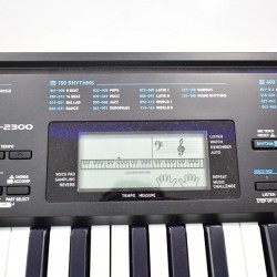 Casio CTK2300 Standard Keyboard