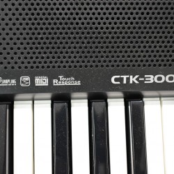 Casio CTK3000 Standard Keyboard