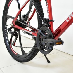 Champion YM MB 31 26" Bike