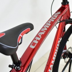 Champion YM MB 31 26" Bike