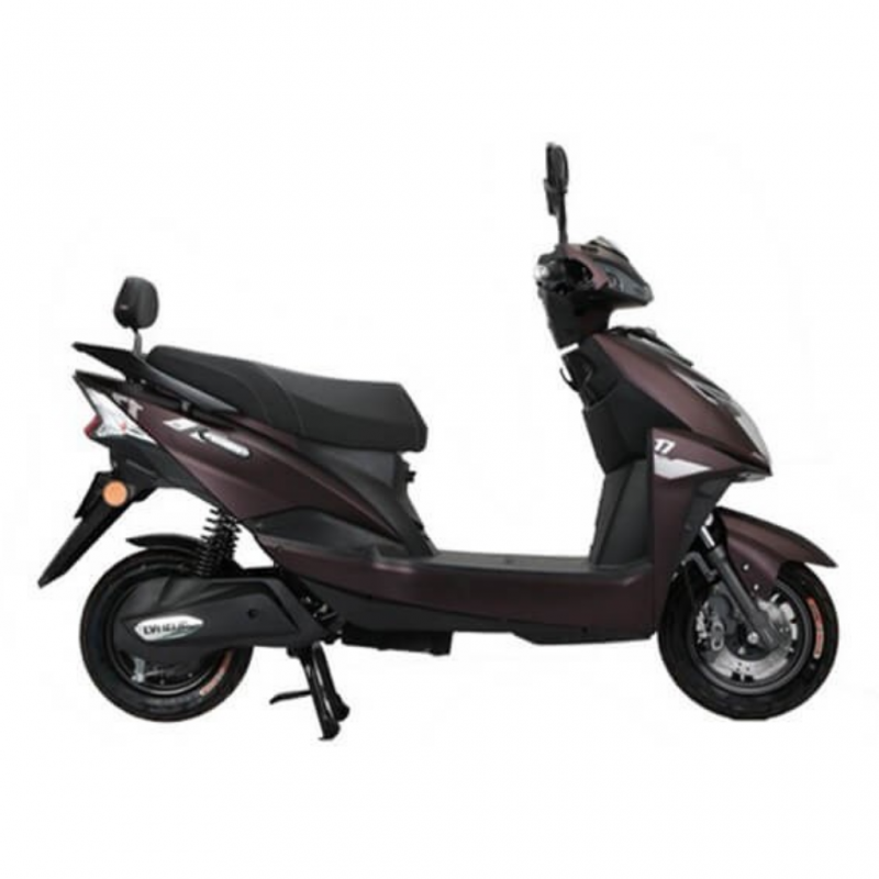Lvneng X4-G 1500 Watts (1.5Kw) Brown Electric Motorcycle