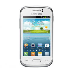 SAMSUNG GT-S6310