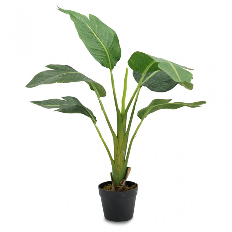 Bird of Paradise Artificial Plant 90cm P.Pot 6'' Rubber Plastic+ Metal+Cement Bird of Paradise Artificial Plant 90cm P.Pot 6'' Rubber Plastic+ Metal+Cement