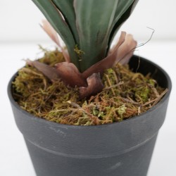 Aloe Artificial Plant 50cm in Plastic Pot 6''