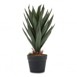 Aloe Artificial Plant 50cm in Plastic Pot 6''