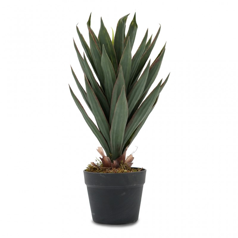Aloe Artificial Plant 50cm in Plastic Pot 6'' Aloe Artificial Plant 50cm in Plastic Pot 6''