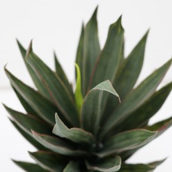Aloe Artificial Plant 50cm in Plastic Pot 6''