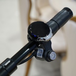 Speedway Alloy Black Trottinet Electric