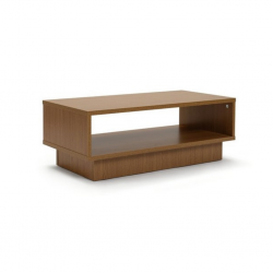 Coffee Table With 1 Open Shelving W85xD50xH40 cm
