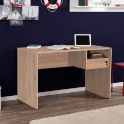 Concept Office Desk Sonoma