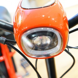 Speedway XD010 Red 245 Watts Electric Bike