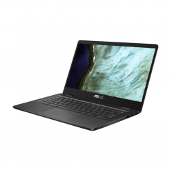 Asus Chromebook C423NA-BCLN5 14" Grey