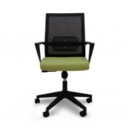 Skyla Low Back Office Chair Green Color