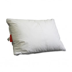 All Season Pillow 50x70 100% Cotton