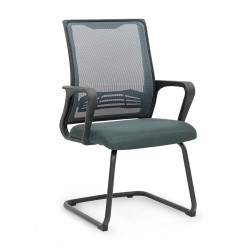 Ari Visitor Chair Grey Color