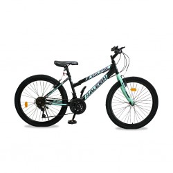 Raleigh Eclipse 24L-18 24'' Ladies MTB