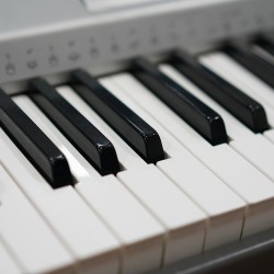 Casio CTK810N Standard Keyboard