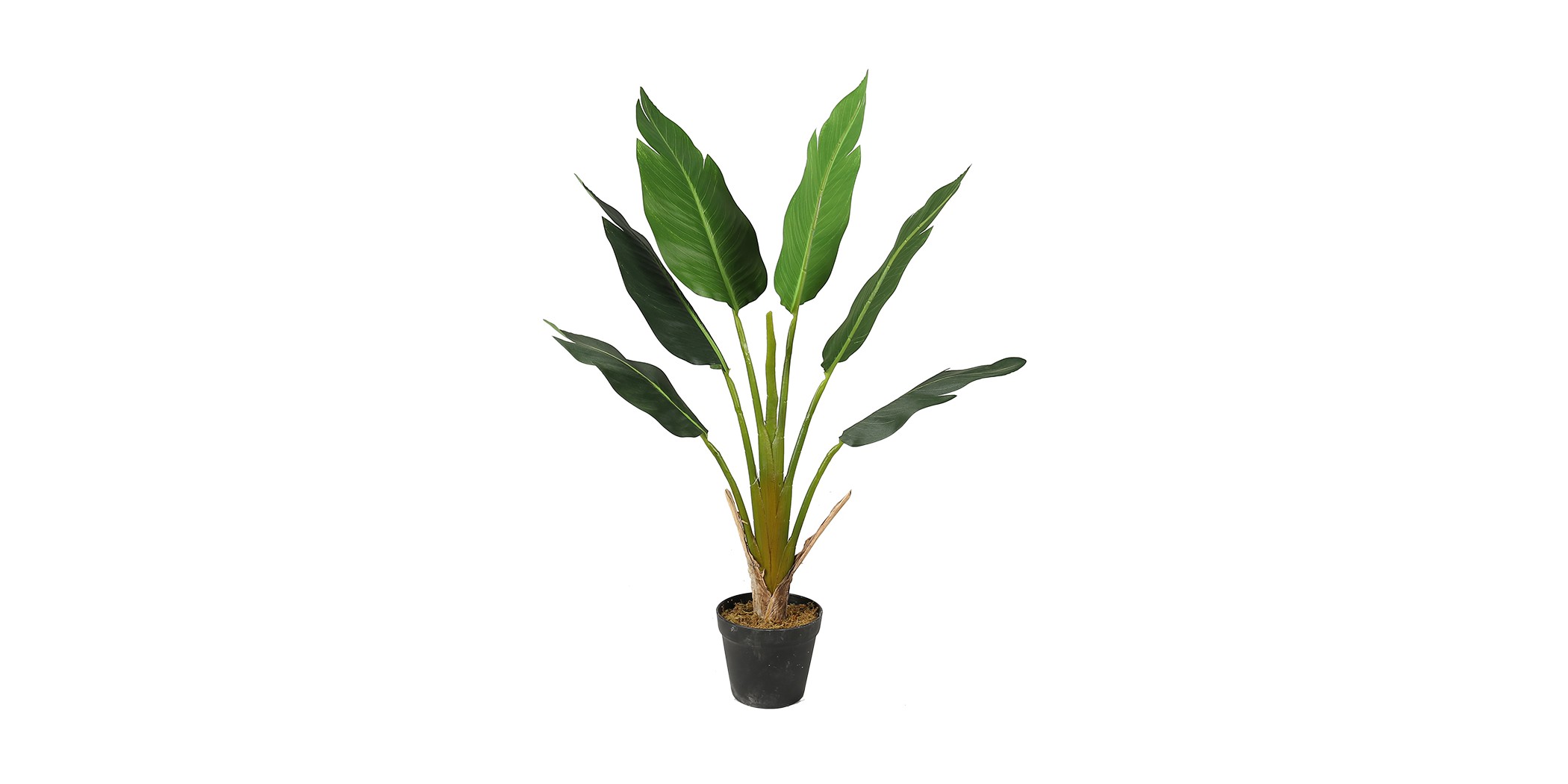 Bird of Paradise Artificial Plant 90cm P.Pot 6''