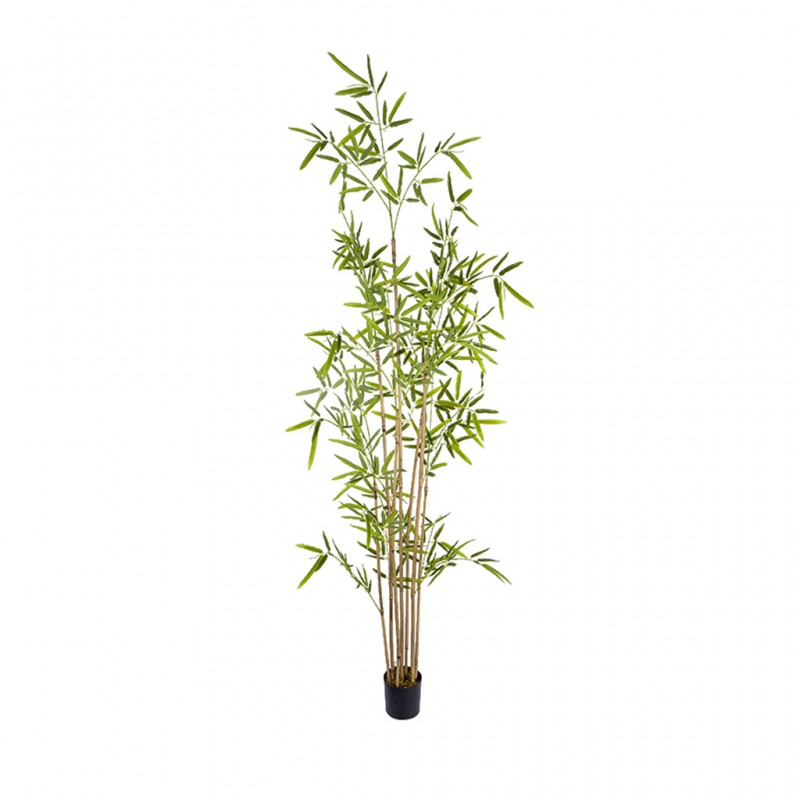 Bamboo Tree Artificial 160cm P.Pot 5" Bamboo Tree Artificial 160cm P.Pot 5"