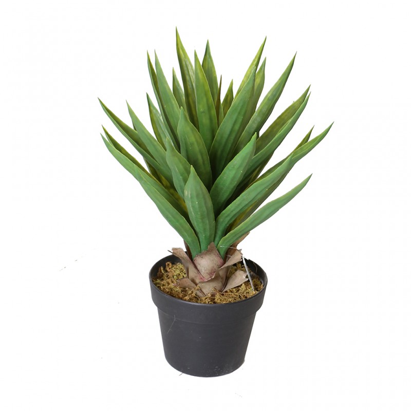 Aloe Plant Artificial 50cm P.Pot 6"