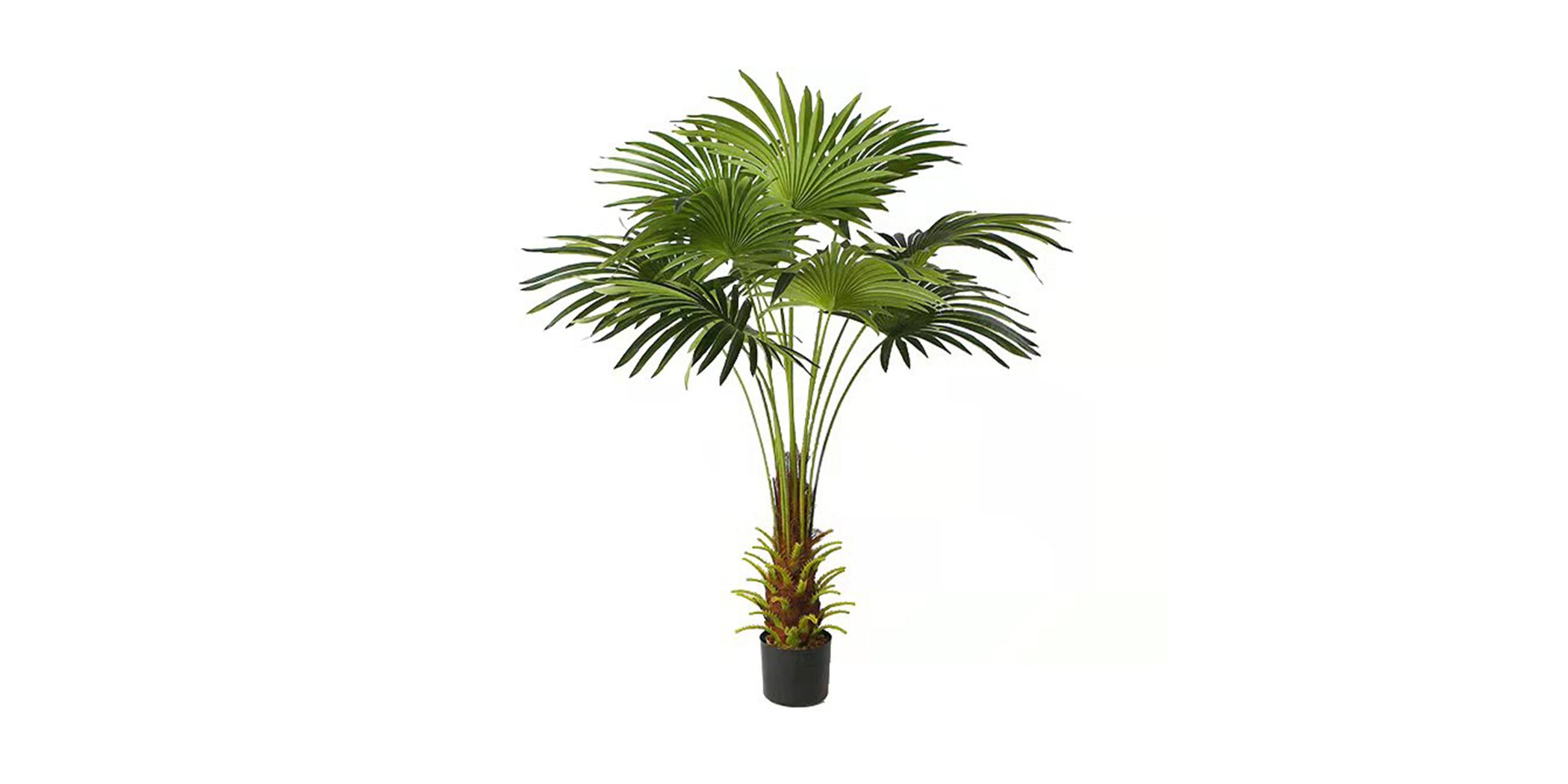 Fan Palm Tree Artificial 120cm P.Pot 8"