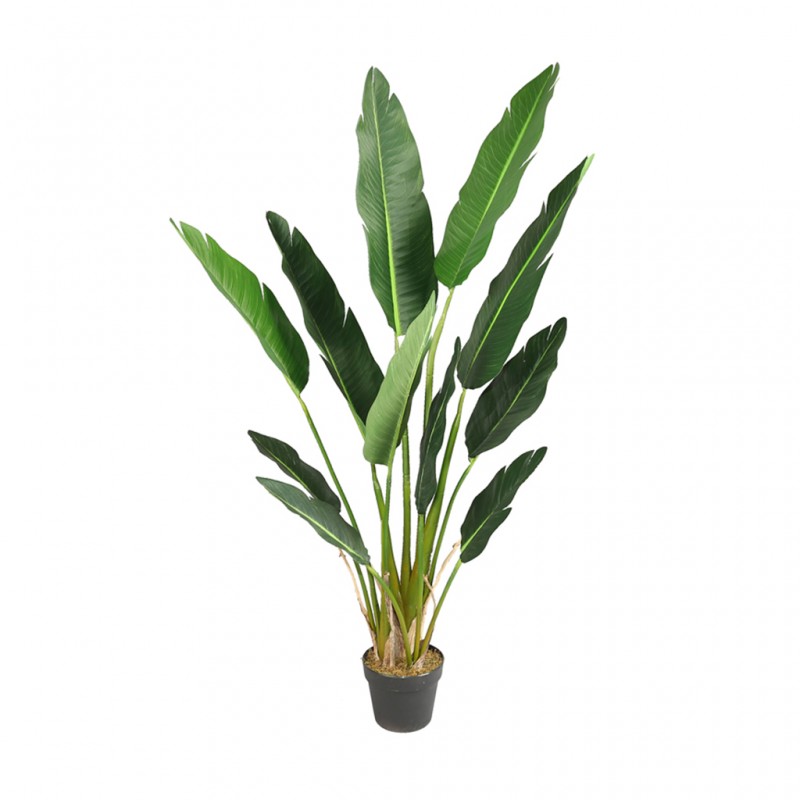 Bird of Paradise Artificial Plant 150cm P.Pot 7'' Bird of Paradise Artificial Plant 150cm P.Pot 7''