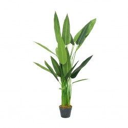 Bird of Paradise Artificial Plant 140cm P.Pot 7''