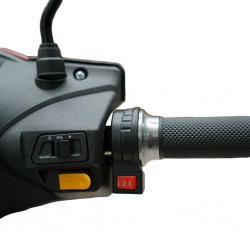 Speedway A2-1 245 Watts (0.245Kw) Red Electric Bike