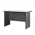 Desk Rectangular W1600XD735XH750 mm