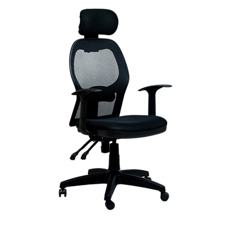 Ascona Executive Mesh Chair With Head Rest RH 111