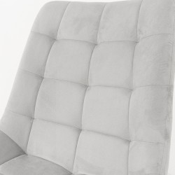 Delfina Dining Chair Grey Color