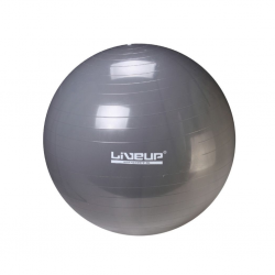 Liveup LS3222 65CM/1050G Gym Ball