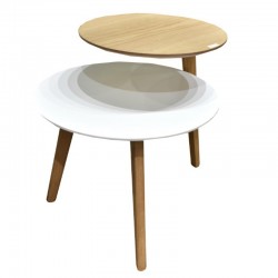 Ilina Coffee Table MDF White Oak & White