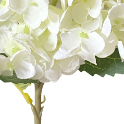 Flower Hydrangea Single Branch White