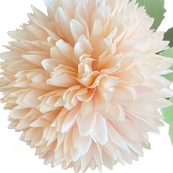 Flower Pompon Mum Champagne