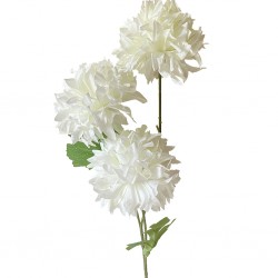 Flower Dandelion 3 Heads White
