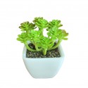Artificial Mini Plant Tabletop Green W6xD6xH10 cm