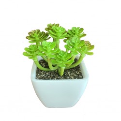 Artificial Mini Plant Tabletop Green W6xD6xH10 cm