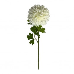 Flower Pompon Mum White