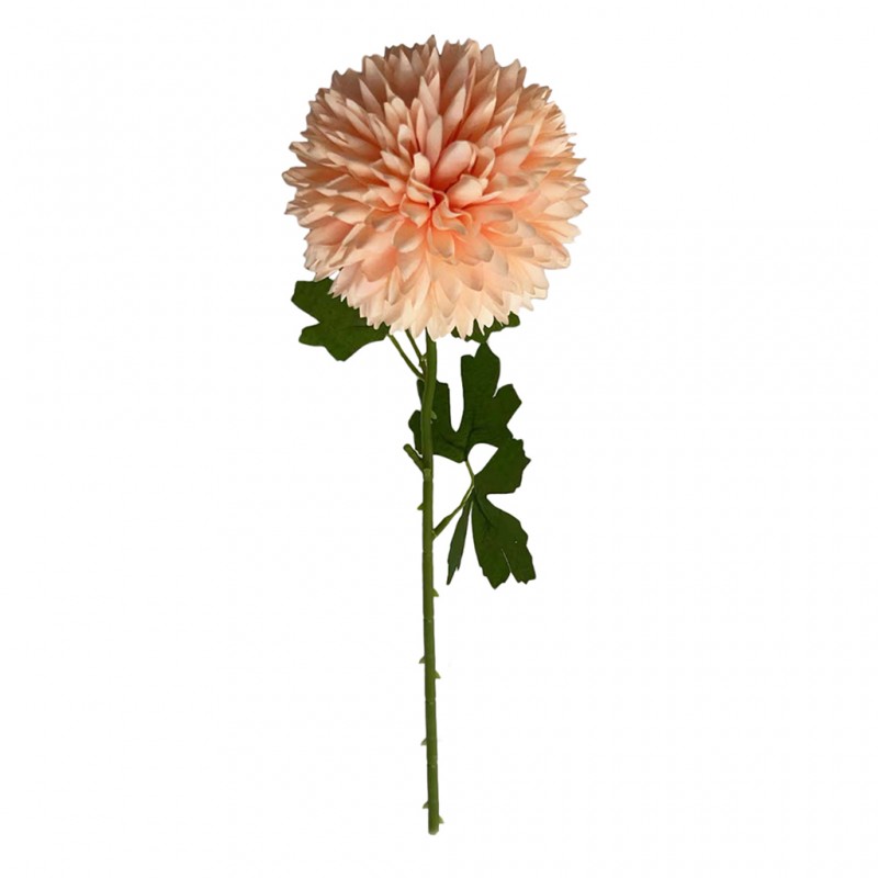 Flower Pompon Mum Champagne