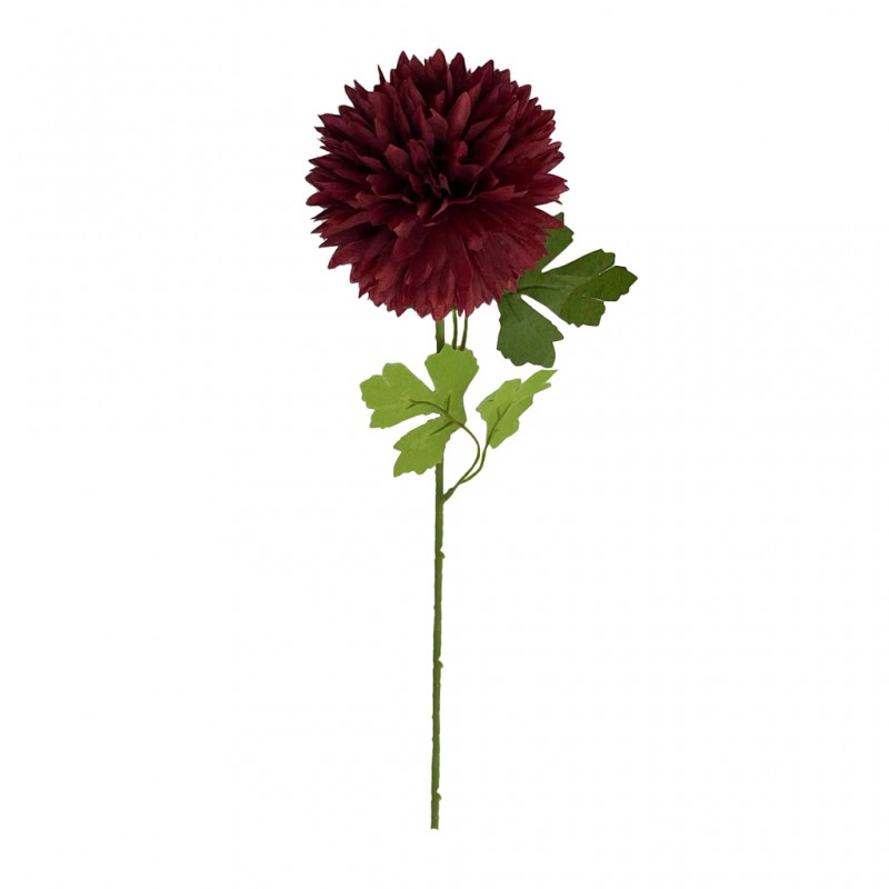 Flower Pompon Mum Red Flower Pompon Mum Red