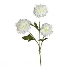 Flower Dandelion 3 Heads White