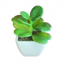 Artificial Mini Plant Tabletop Green W8xD8xH11 cm