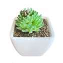 Artificial Mini Plant Tabletop Green W6xD6xH8 cm
