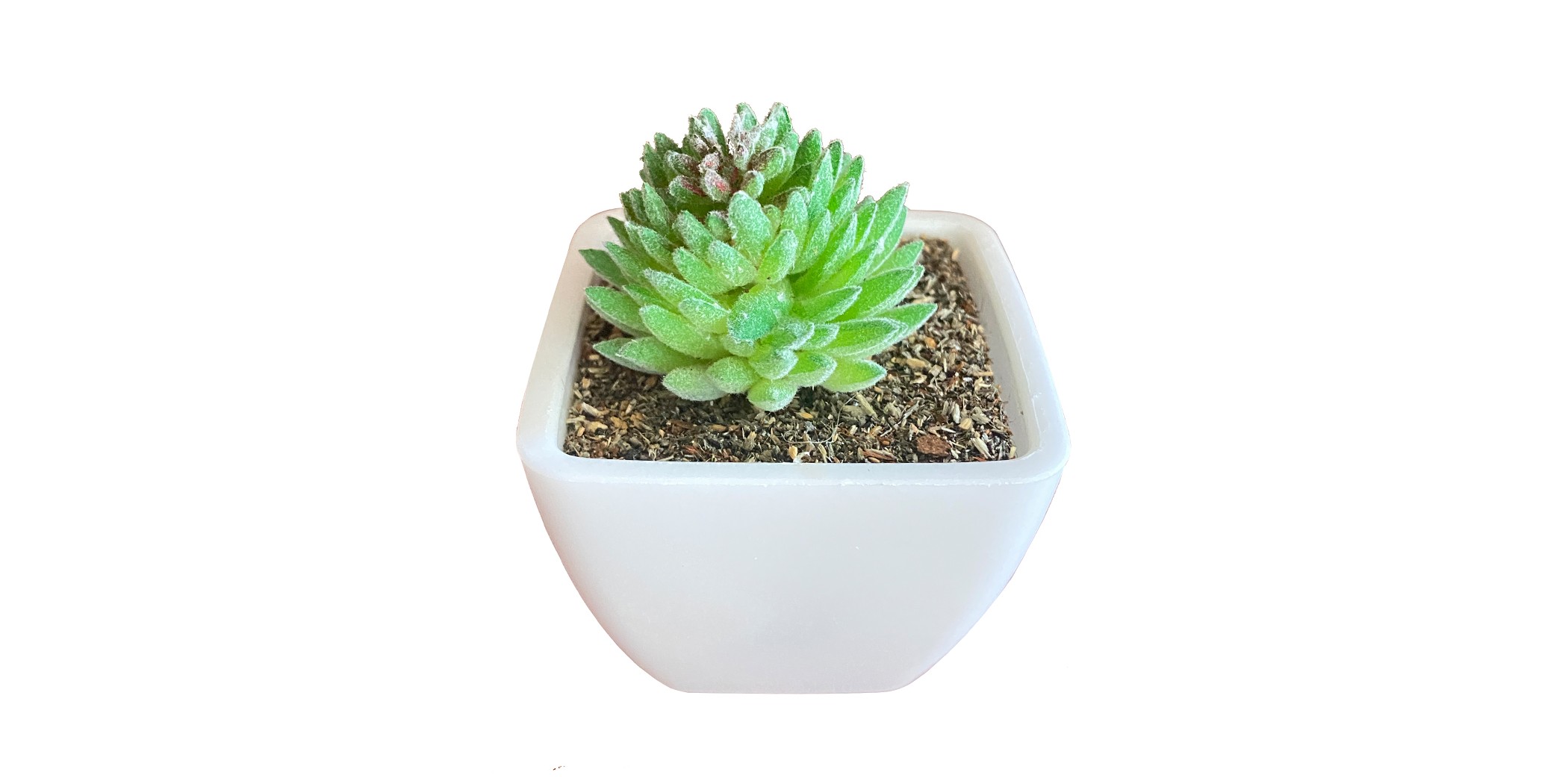 Artificial Mini Plant Tabletop Green W6xD6xH8 cm