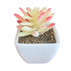 Artificial Mini Plant Tabletop White W6xD6xH9 cm