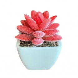 Artificial Mini Plant Tabletop Red W7xD7xH8 cm