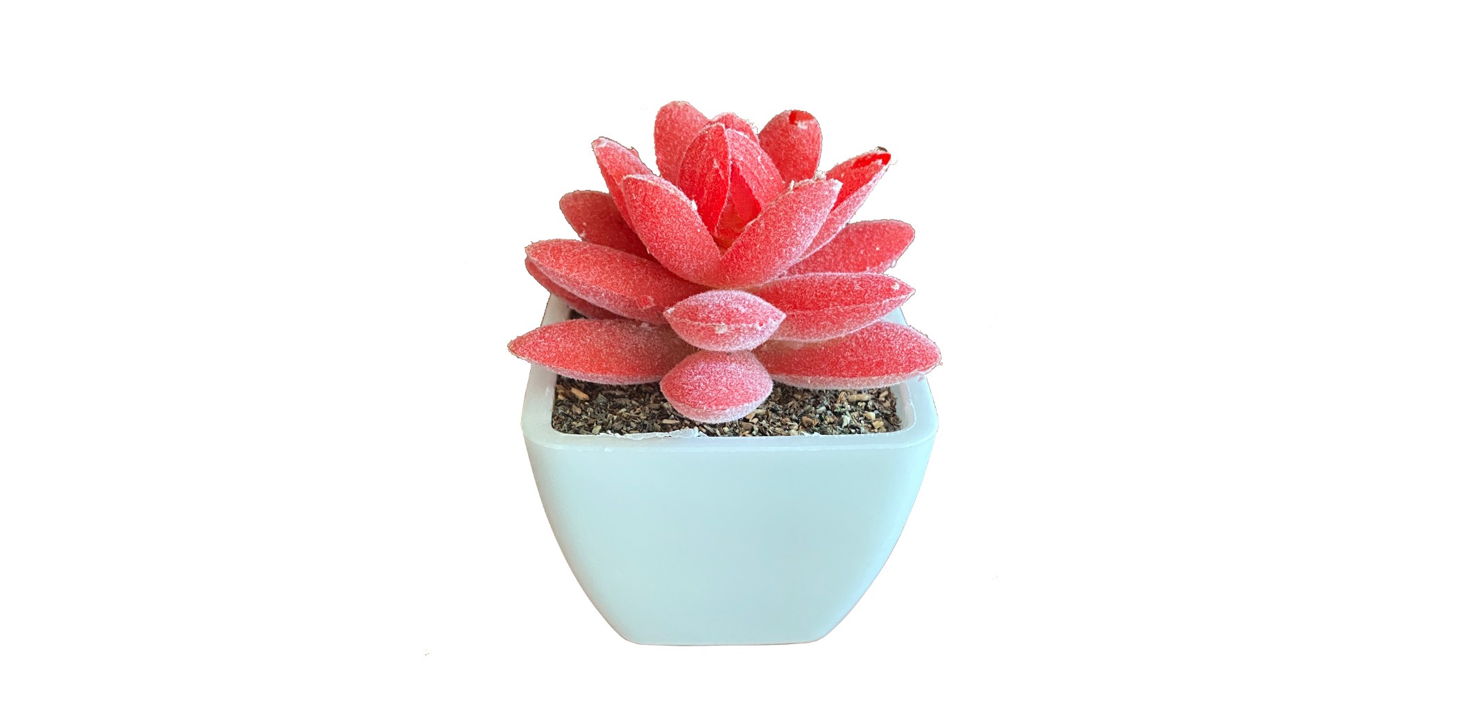 Artificial Mini Plant Tabletop Red W7xD7xH8 cm