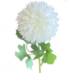 Flower Pompon Mum White