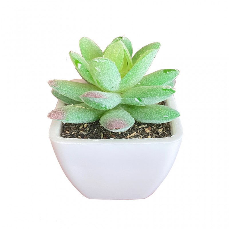 Artificial Mini Plant Tabletop Green W7xD7xH8 cm